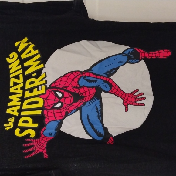 The Amazing Spider-Man - Picture 2 of 4